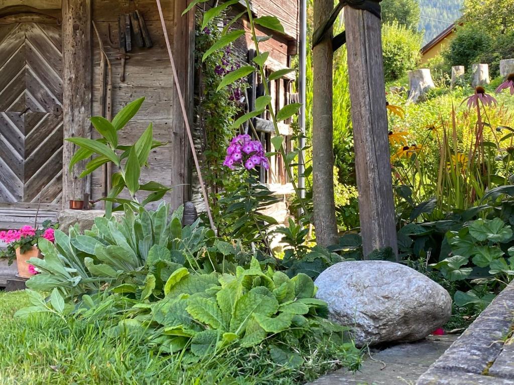 Zahrada ubytování Landhaus Tippl