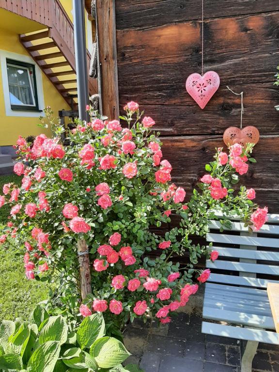Zahrada ubytování Landhaus Tippl