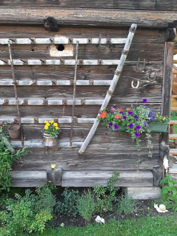 Zahrada ubytování Landhaus Tippl