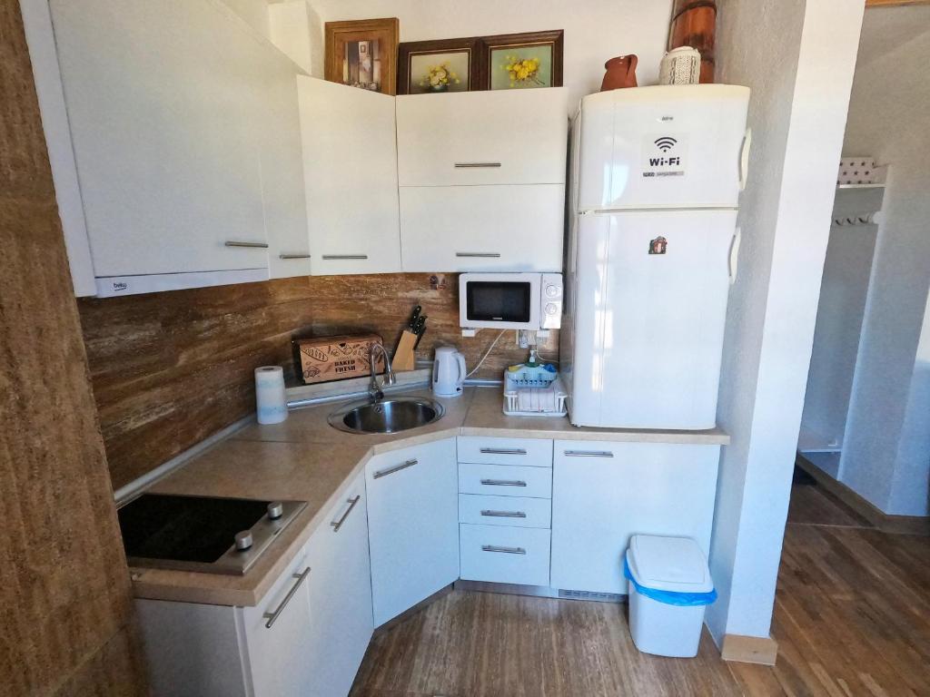 Kuchyň nebo kuchyňský kout v ubytování Apartman Nancy Vlašić