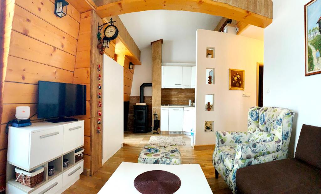 TV a/nebo společenská místnost v ubytování Apartman Nancy Vlašić
