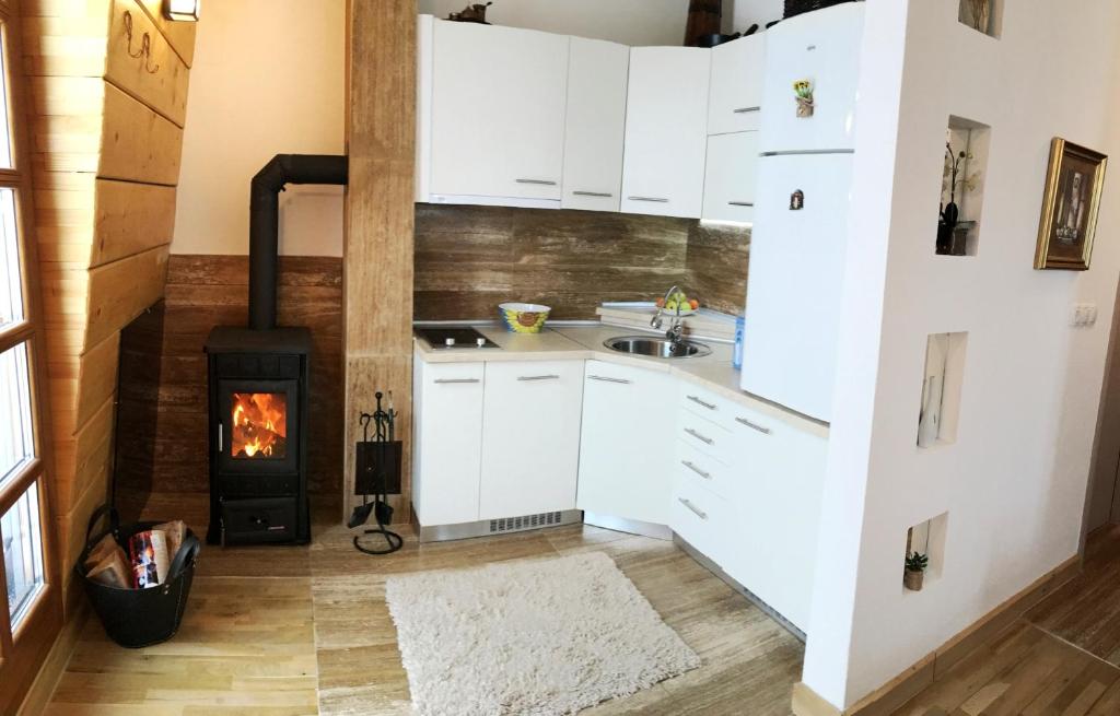 Kuchyň nebo kuchyňský kout v ubytování Apartman Nancy Vlašić