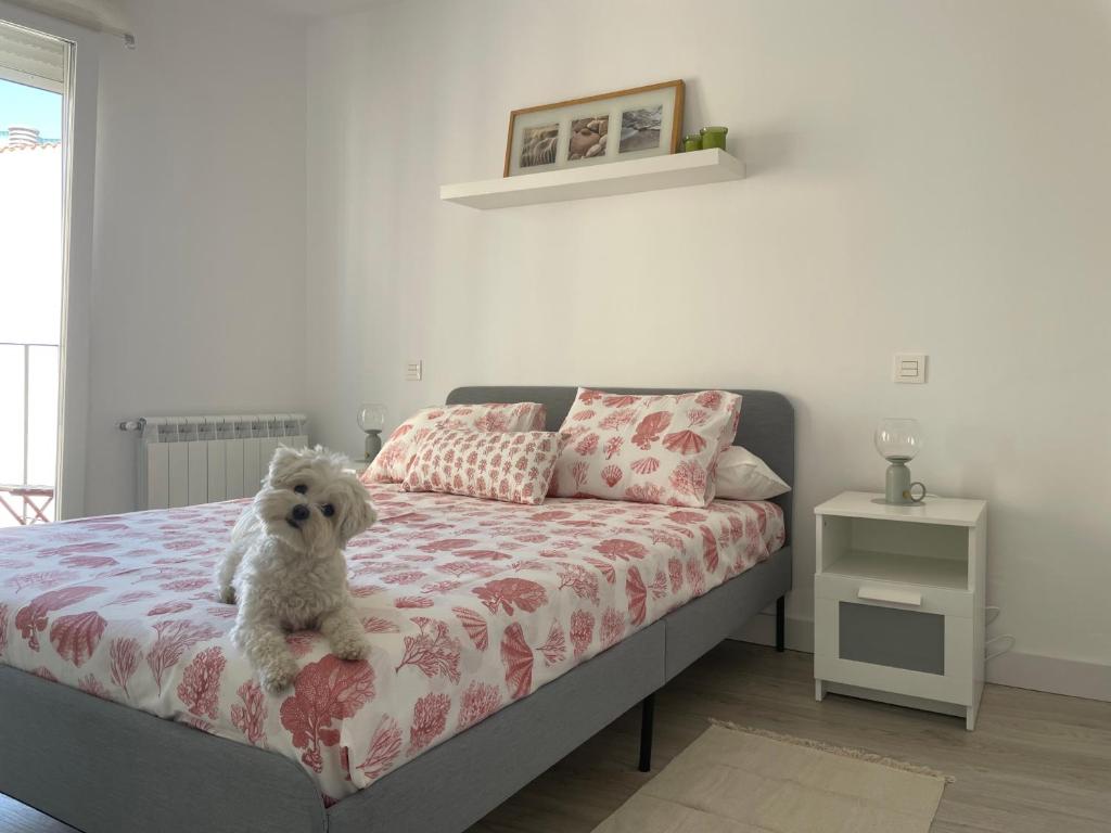 - un chien blanc assis sur un lit dans une chambre dans l'établissement Plata 2, à Zamora