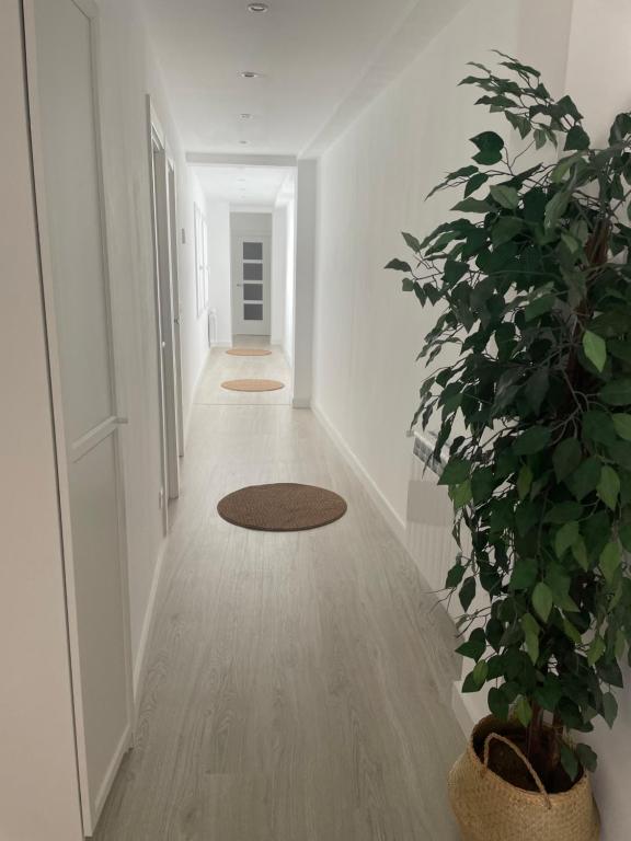 Plata 2 - Three-Bedroom Apartment