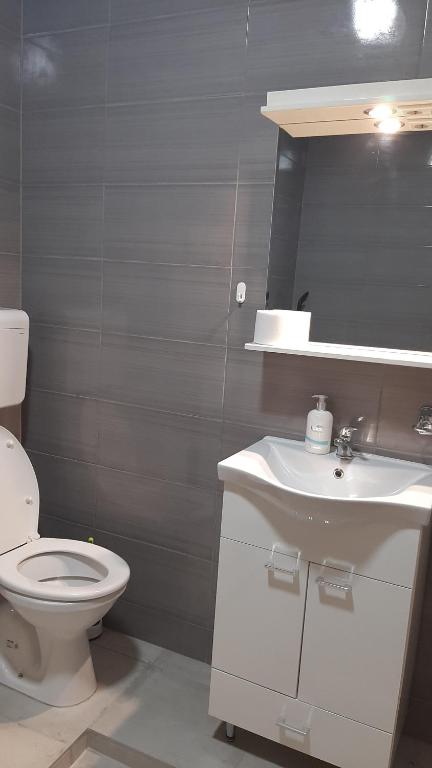 Koupelna v ubytování Apartmani Vesna