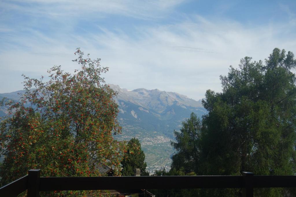 Oree du Bois OB D0 CALM apartment 6 pers - Resim 23