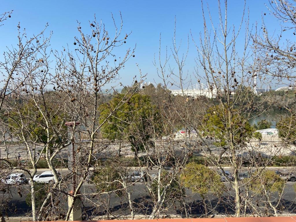 Placentines - Appartement De Rue Duplex Calle Tountee 45