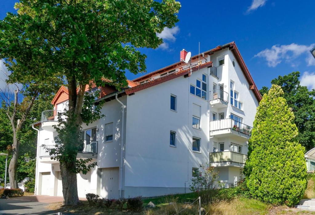 ein weißes Gebäude mit einem Baum davor in der Unterkunft Ferienwohnung Sonnenblick in Sassnitz