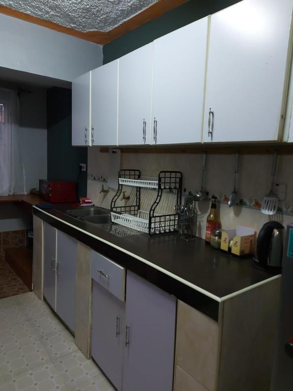 Kuchyň nebo kuchyňský kout v ubytování Parkview apartments