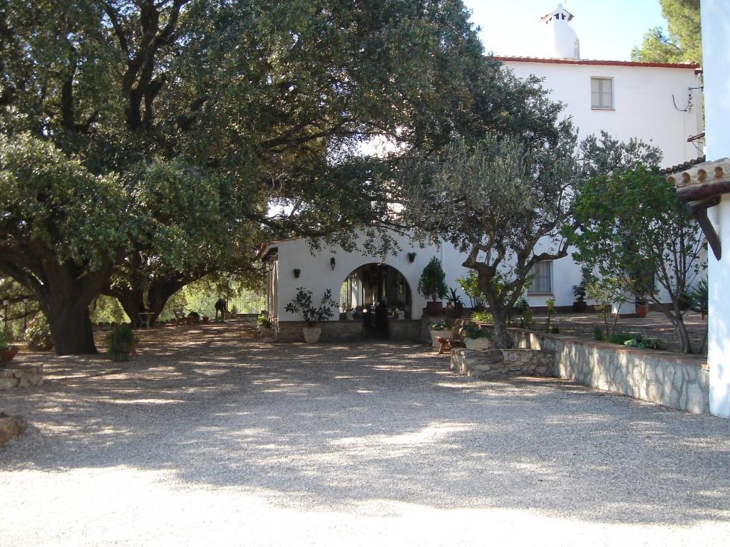 ein weißes Gebäude mit Bäumen davor in der Unterkunft Masia Rural Les Alsines in Valls