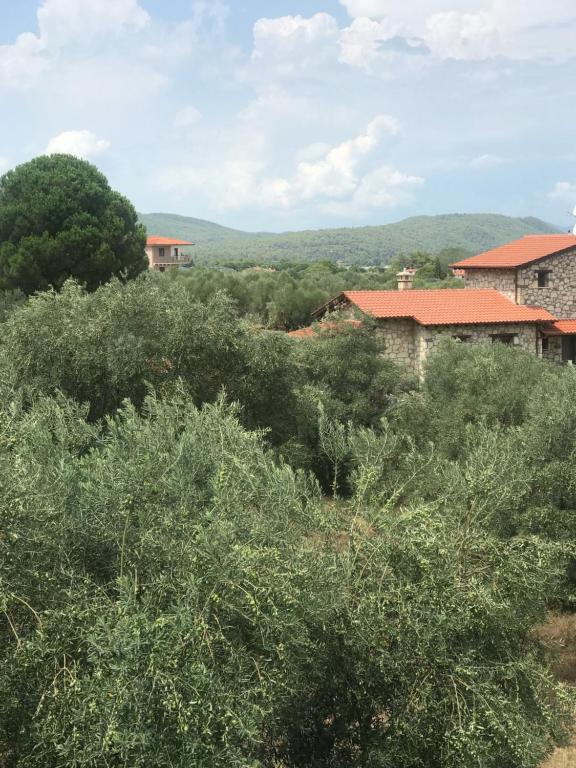 Olivegrove House - 10