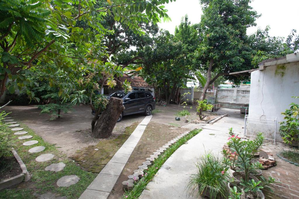 Zahrada ubytování Kallista Homestay
