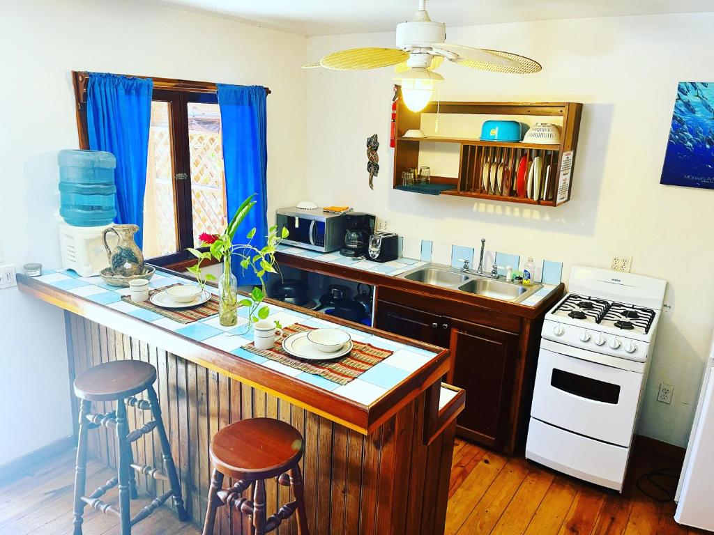 a kitchen with a counter and a stove top oven at Seabreeze Inn in West End