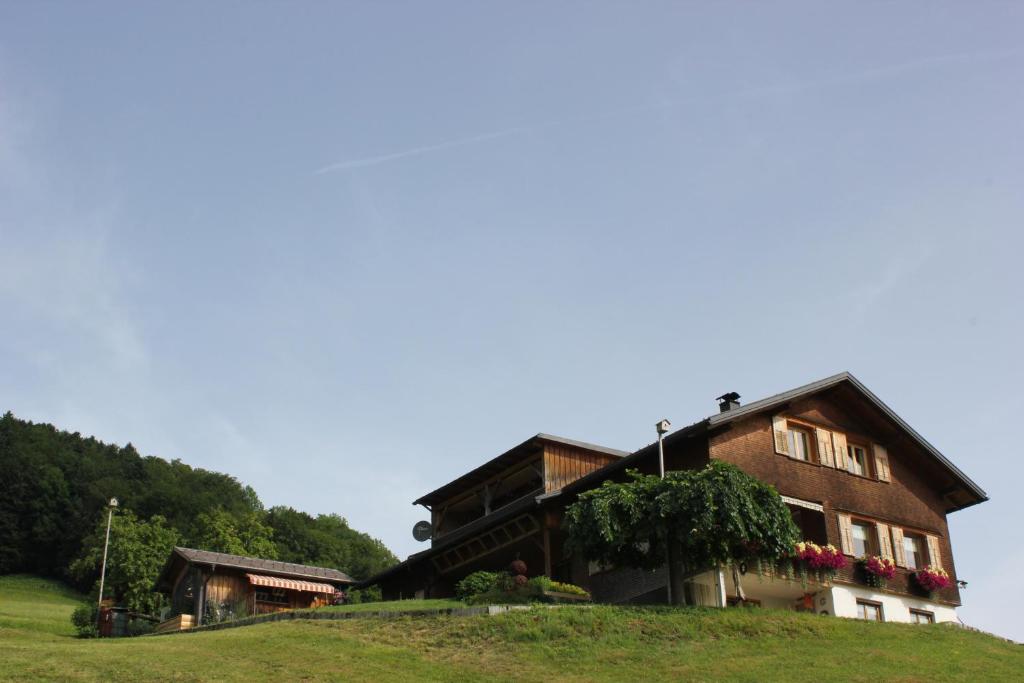 ein Haus auf einem Grashügel in der Unterkunft Loch673 in Schwarzenberg im Bregenzerwald