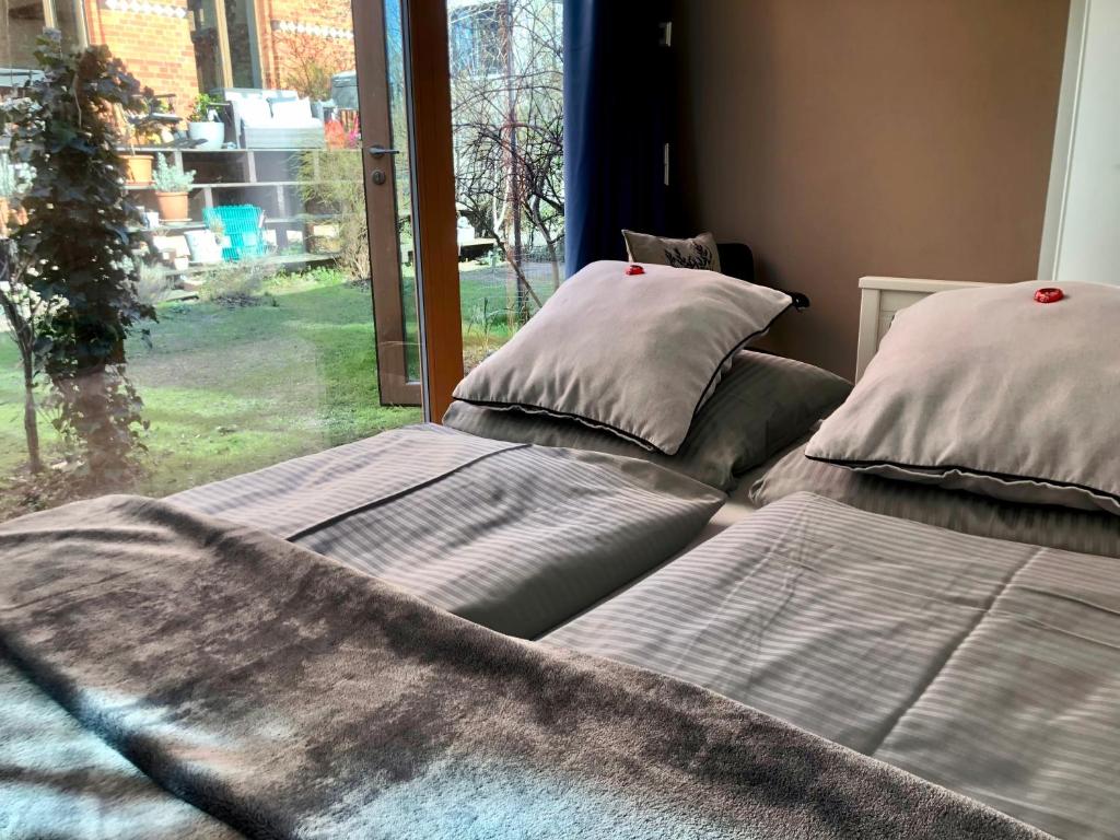 two beds sitting in a room with a window at Tiny House in Berlin Rummelsburg in Berlin