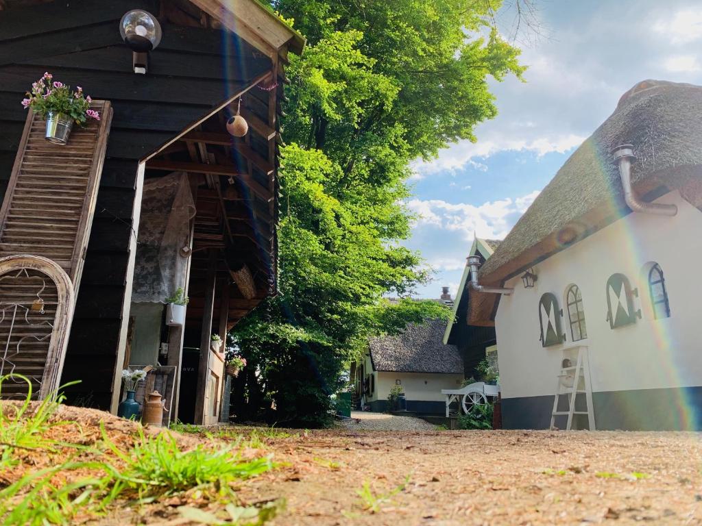 une maison avec un toit de chaume et une cour dans l'établissement Bakhuisje op de Veluwe, à Heerde