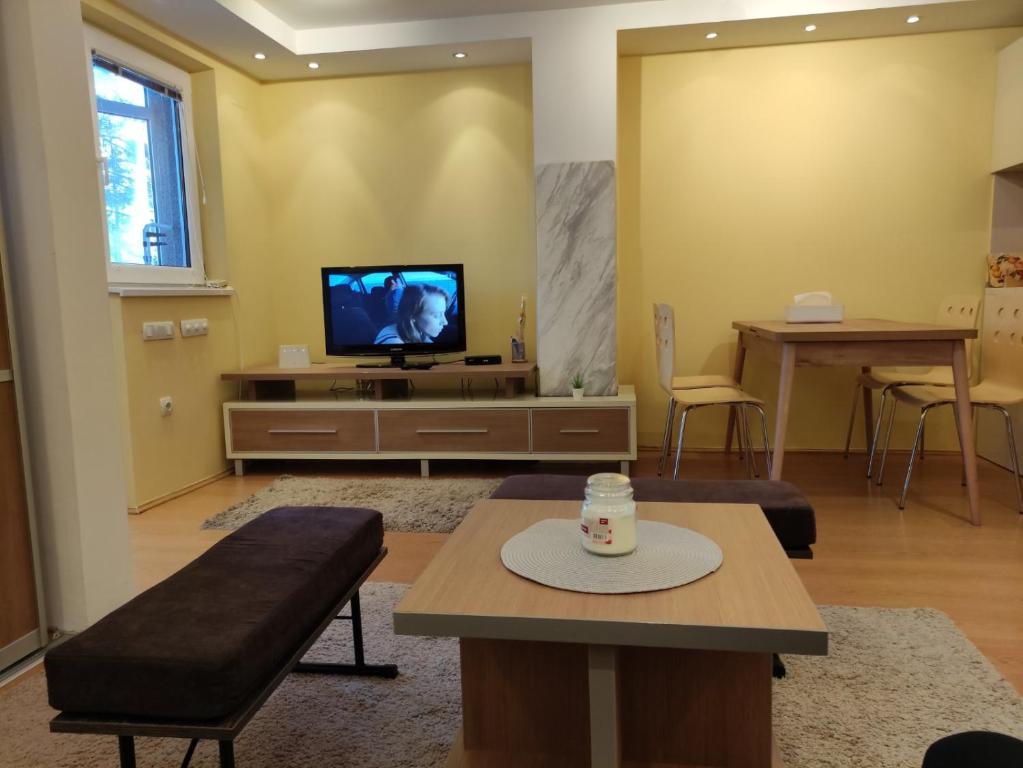 een woonkamer met een tv en een tafel bij Apartman Anka in Divčibare