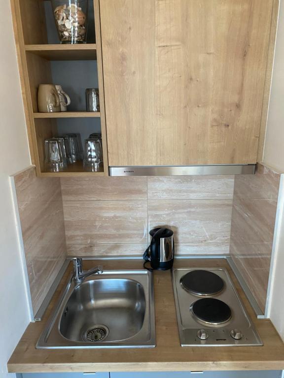 Kuchyň nebo kuchyňský kout v ubytování Apartment House Mael