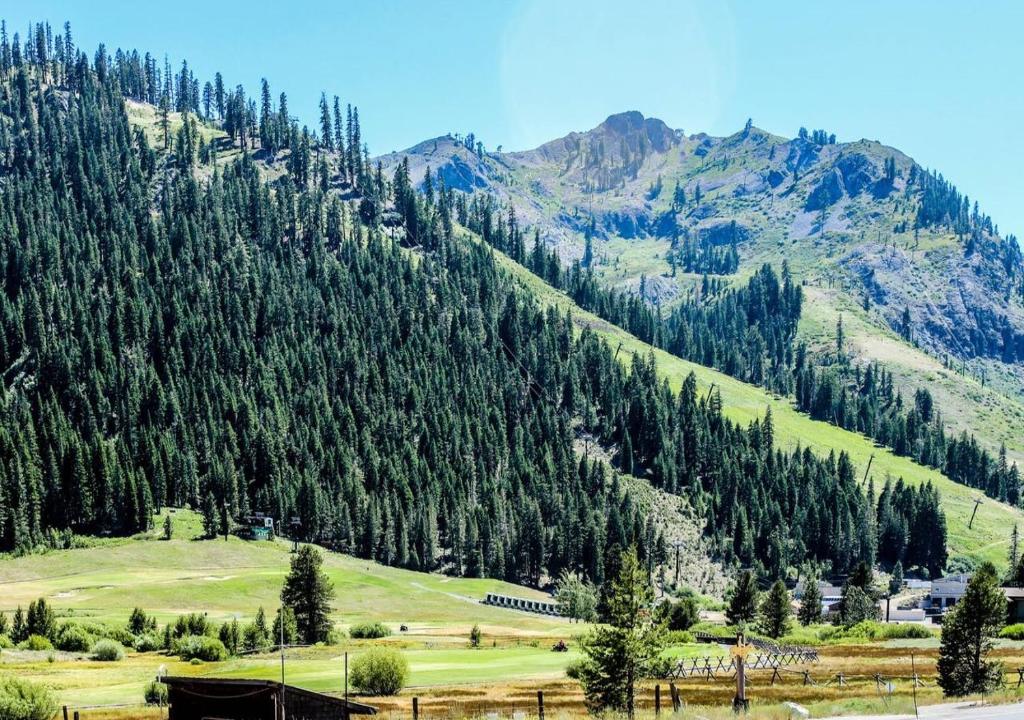 a green hillside with trees and a mountain at Everline Resort & Spa Rentals by TO in Olympic Valley