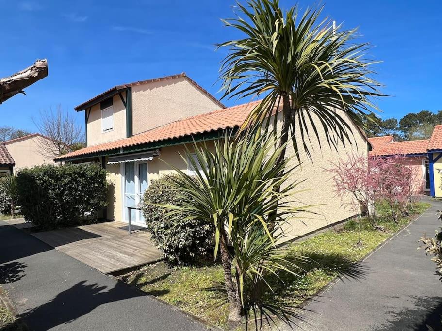 a palm tree in front of a house at Villa Moana Soustons plage / Vieux-Boucau in Soustons