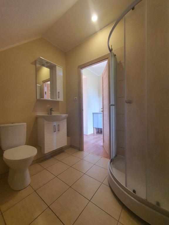 a bathroom with a shower and a toilet and a sink at Vecais cels 25C in Jelgava