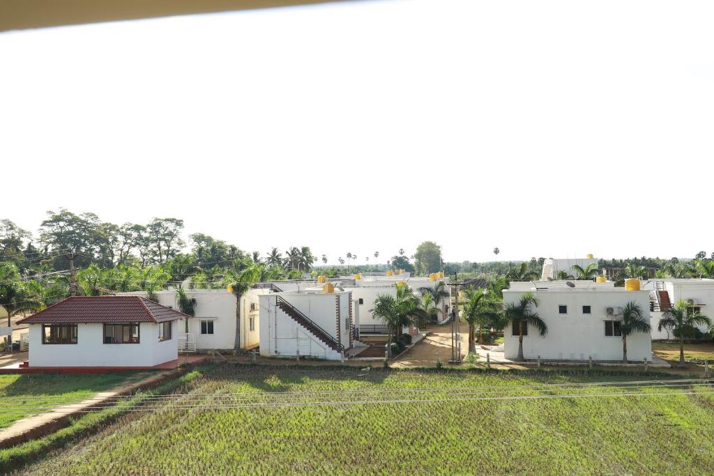 eine Gruppe weißer Häuser mit Bäumen im Hintergrund in der Unterkunft Green Garden Resort in Kuttālam
