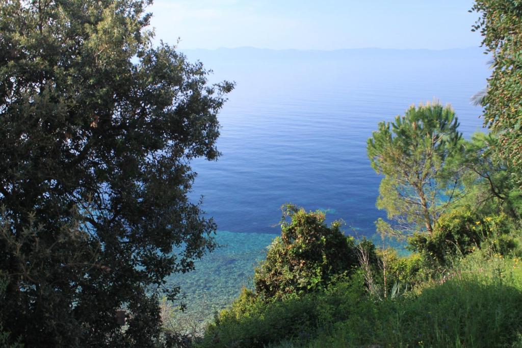 Fotografia z galérie ubytovania Seaside secluded apartments Cove Rapak, Hvar - 8767 v destinácii Gdinj