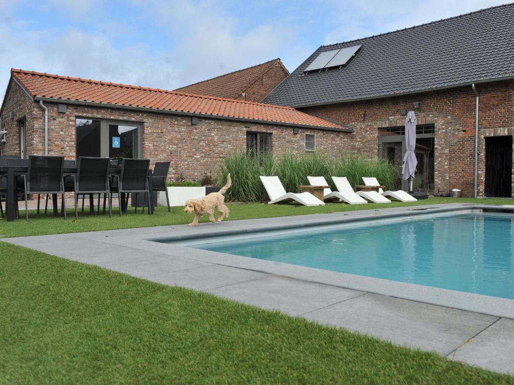 a dog walking next to a swimming pool at Splendid Holiday Home in Le Tignet South with Garden in Eisden