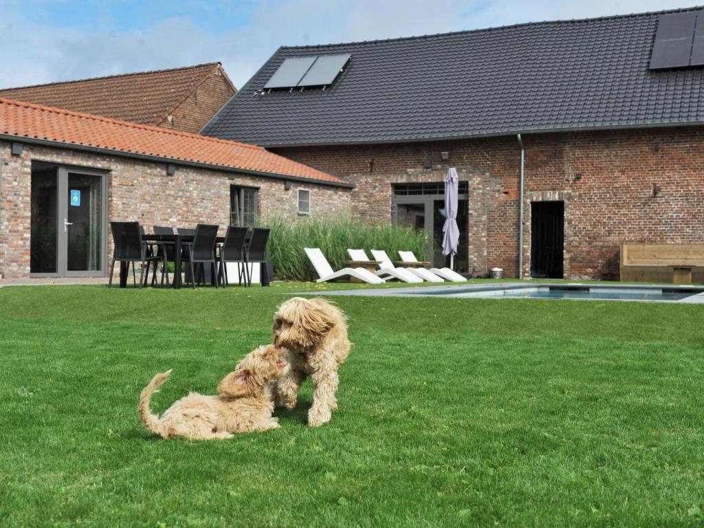 a dog sitting in the grass next to a house at Splendid Holiday Home in Le Tignet South with Garden in Eisden