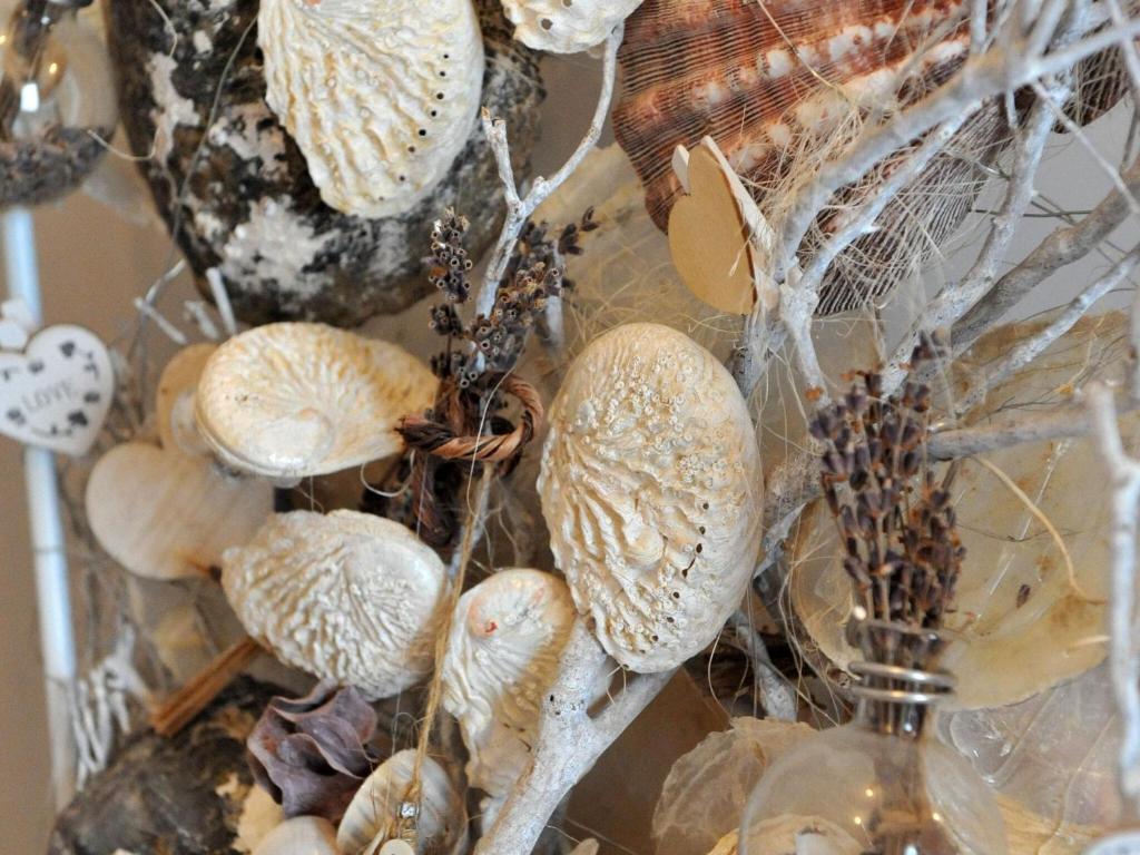 a bunch of shells in a glass vase at Splendid Holiday Home in Le Tignet South with Garden in Eisden