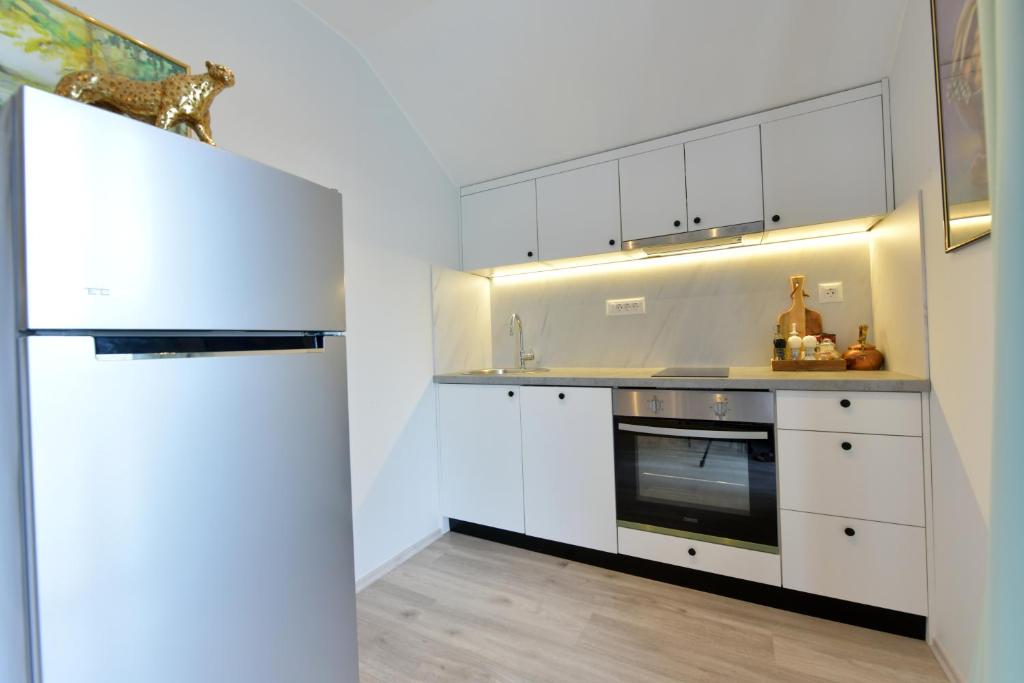 Kuchyň nebo kuchyňský kout v ubytování Deluxe Apartments Franjkovic