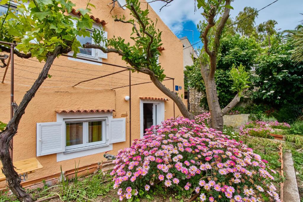 Vonkajšia záhrada v ubytovaní Holiday Home Lina Cipollina