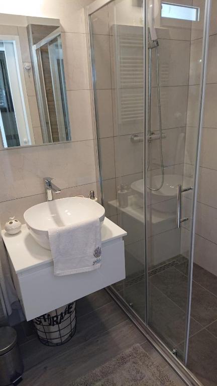 Koupelna v ubytování Apartments with parking spaces Rukavac, Vis - 8897