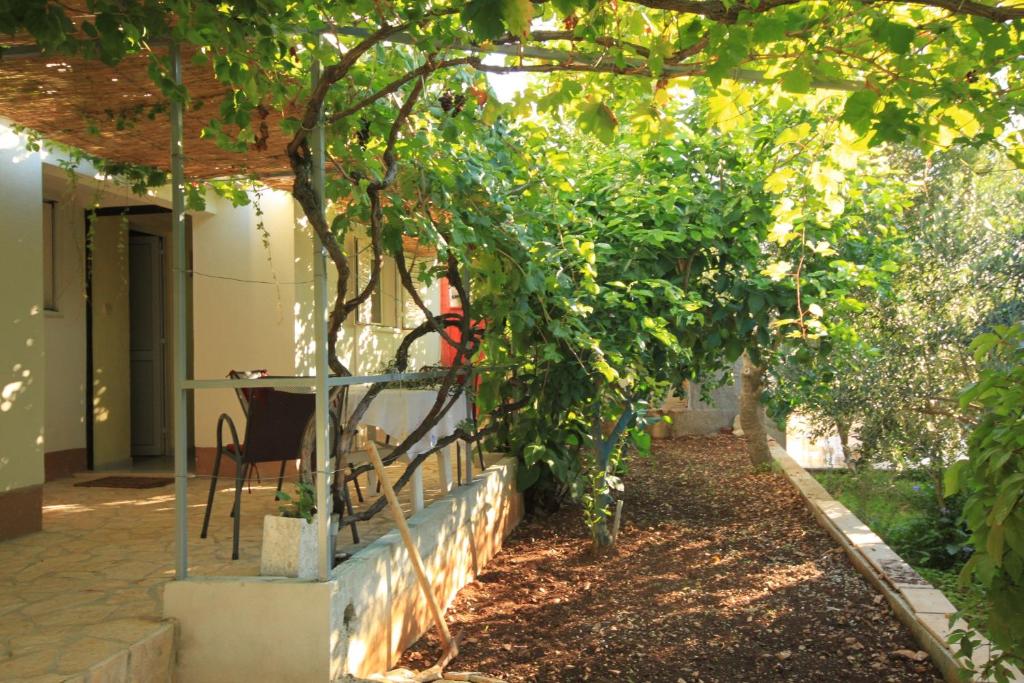 Zahrada ubytování Apartments with parking spaces Rukavac, Vis - 8897