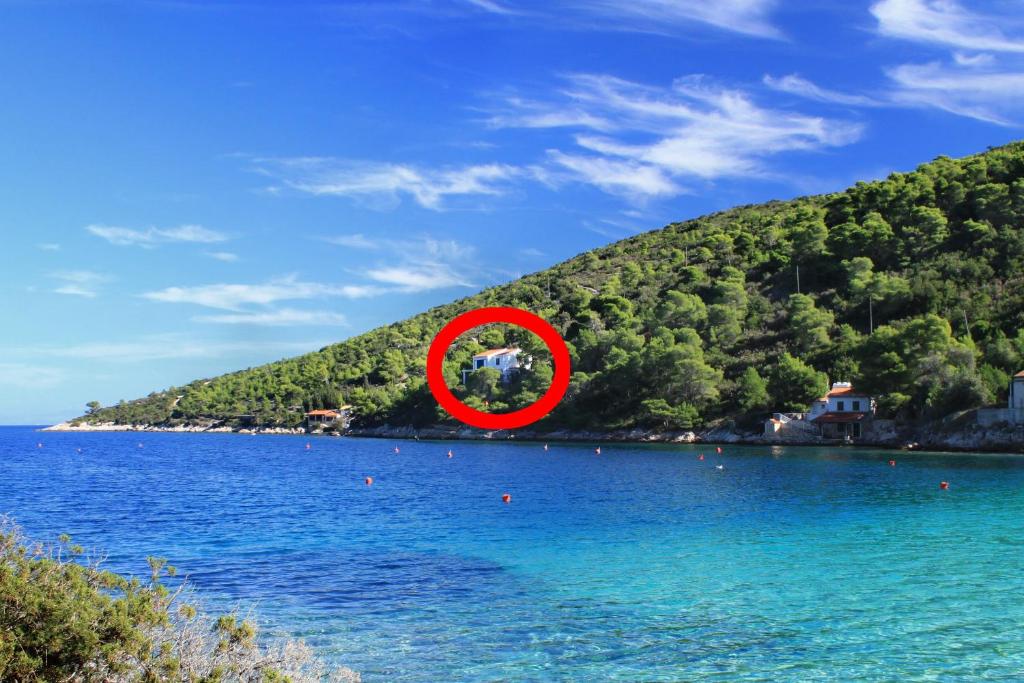 Fotografie z fotogalerie ubytování Apartments by the sea Cove Stoncica, Vis - 8941 v destinaci Vis