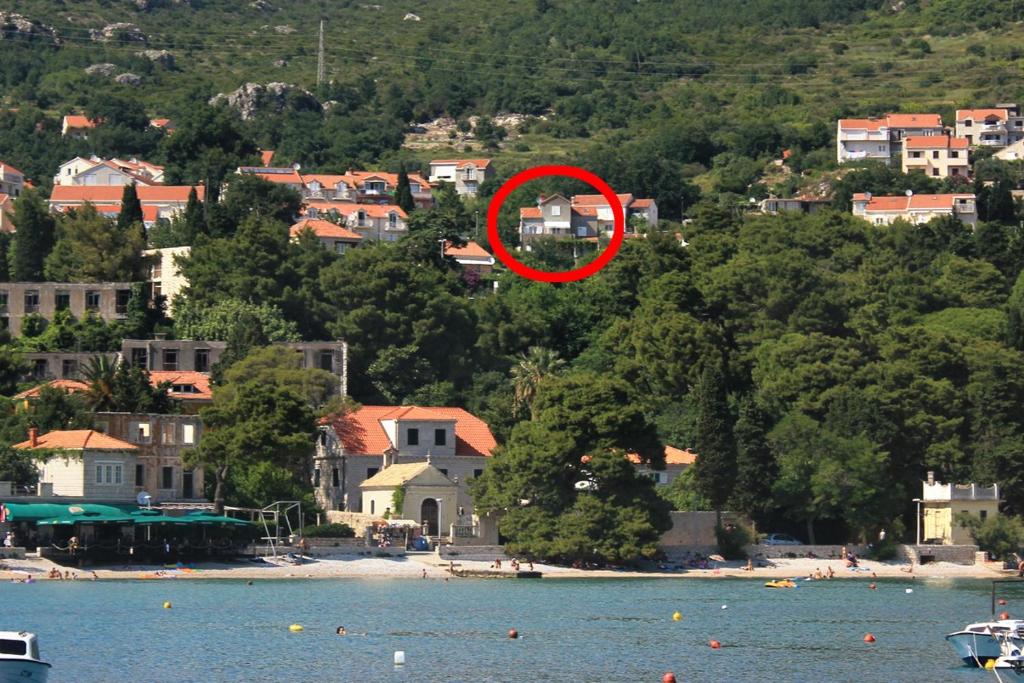 Príroda v okolí apartmánu