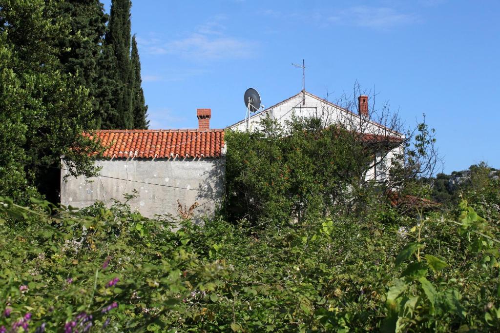 Fotografia z galérie ubytovania Apartments with a parking space Srebreno, Dubrovnik - 9028 v Mlini