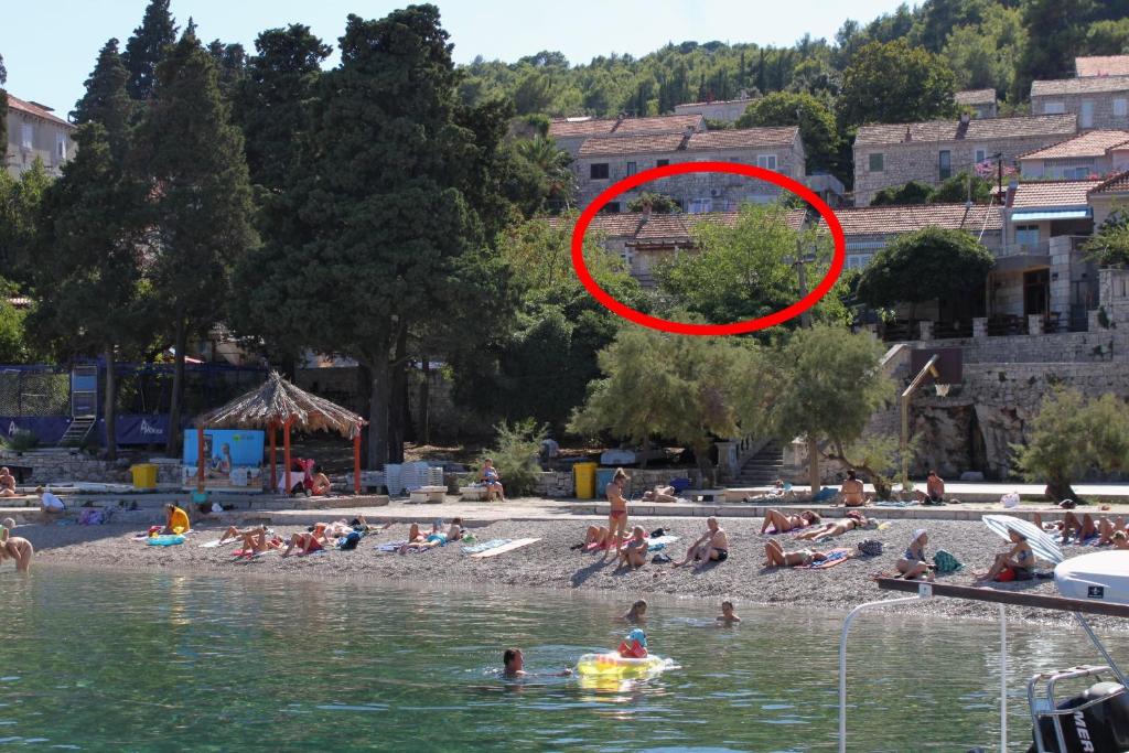 Fotografie z fotogalerie ubytování Apartments by the sea Korcula - 9132 v destinaci Korčula