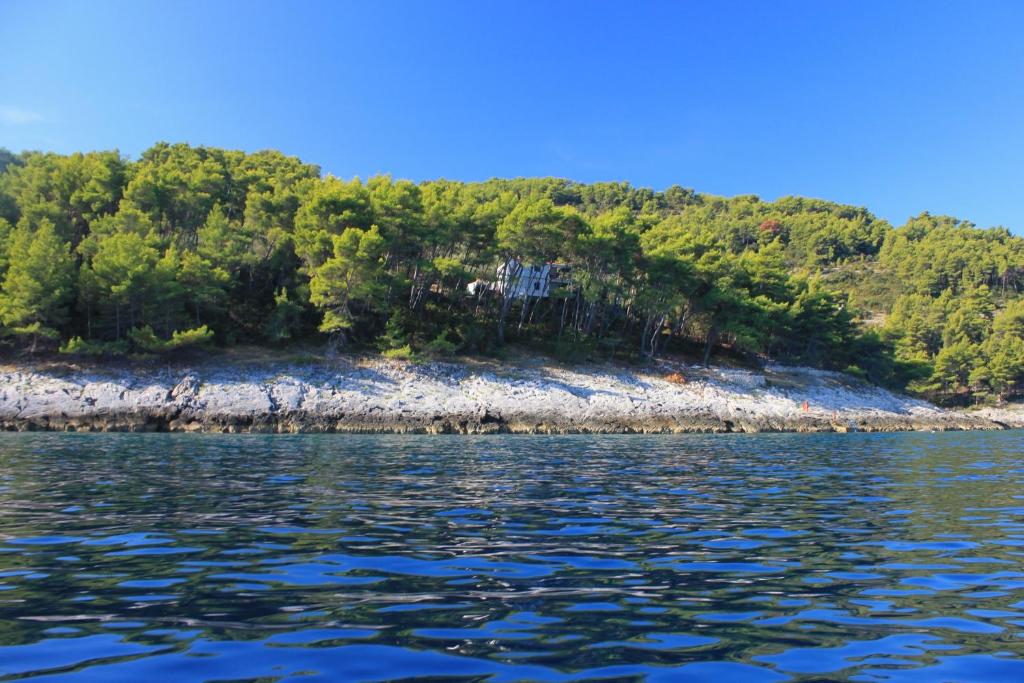 an island in the middle of a body of water at Secluded fisherman's cottage Cove Spiliska, Korcula - 9142 in Vela Luka