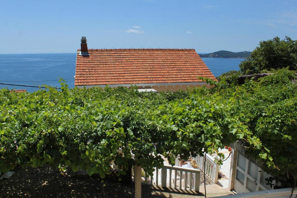 a house with a bunch of vines at Apartments with a parking space Vrbica, Dubrovnik - 9008 in Dubrovnik