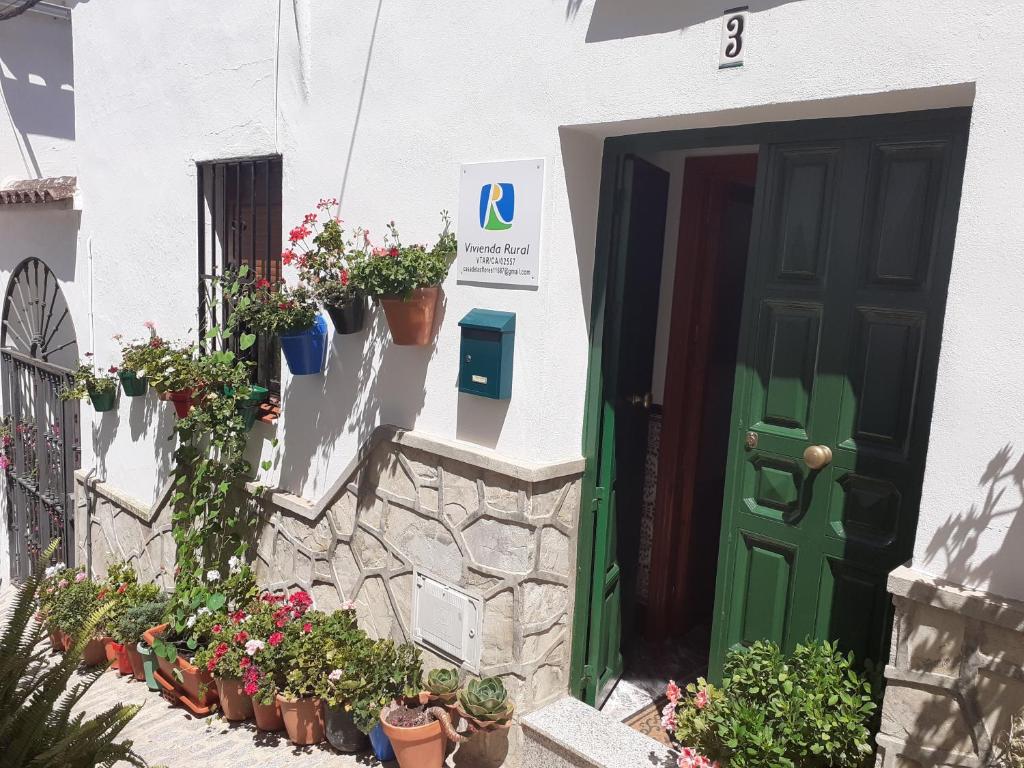 Casa de las Flores - a picture perfect location! - Housity