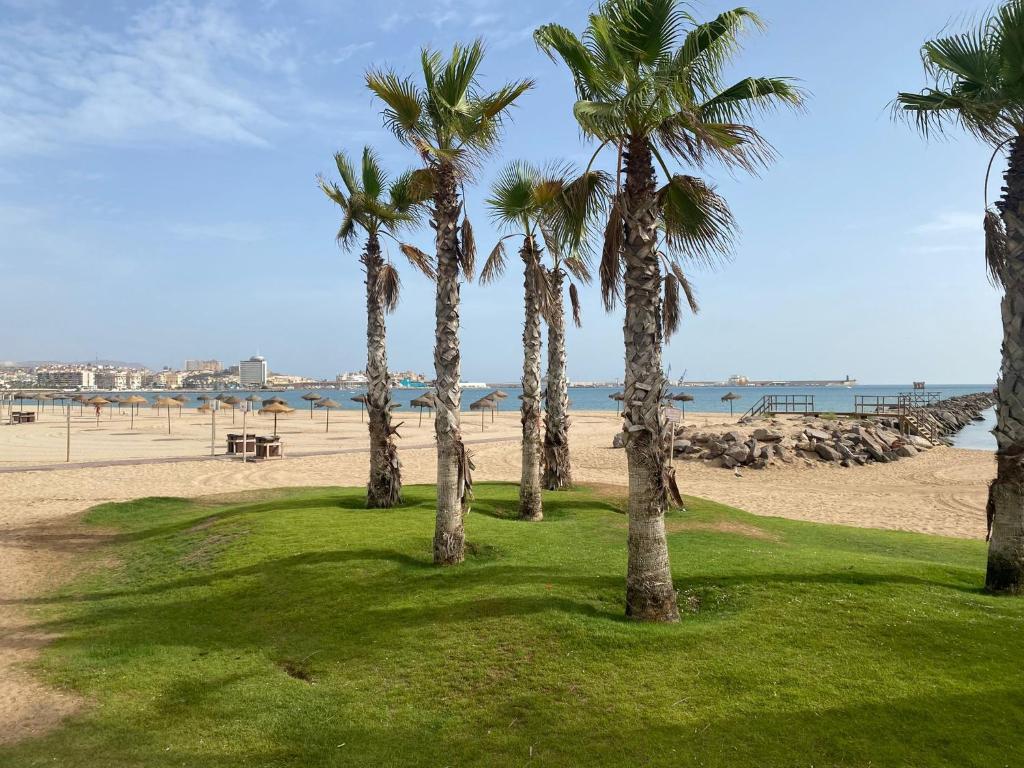 un gruppo di palme sulla spiaggia di Precioso apartamento a 50 metros de la playa a Melilla