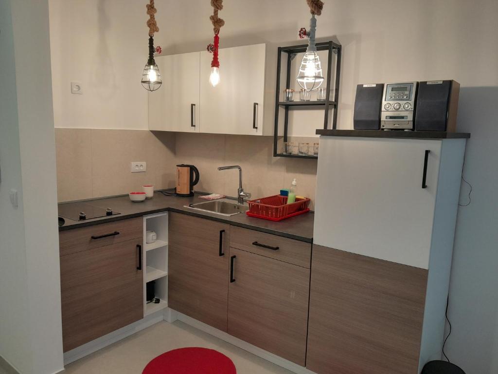 Spa Koncept-Apartmani - Apartment With Lake View