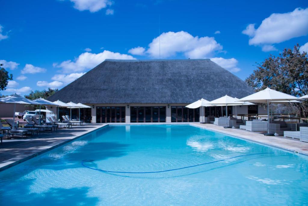 a pool with chairs and umbrellas at a resort at Fumani Game Lodge in Modimolle
