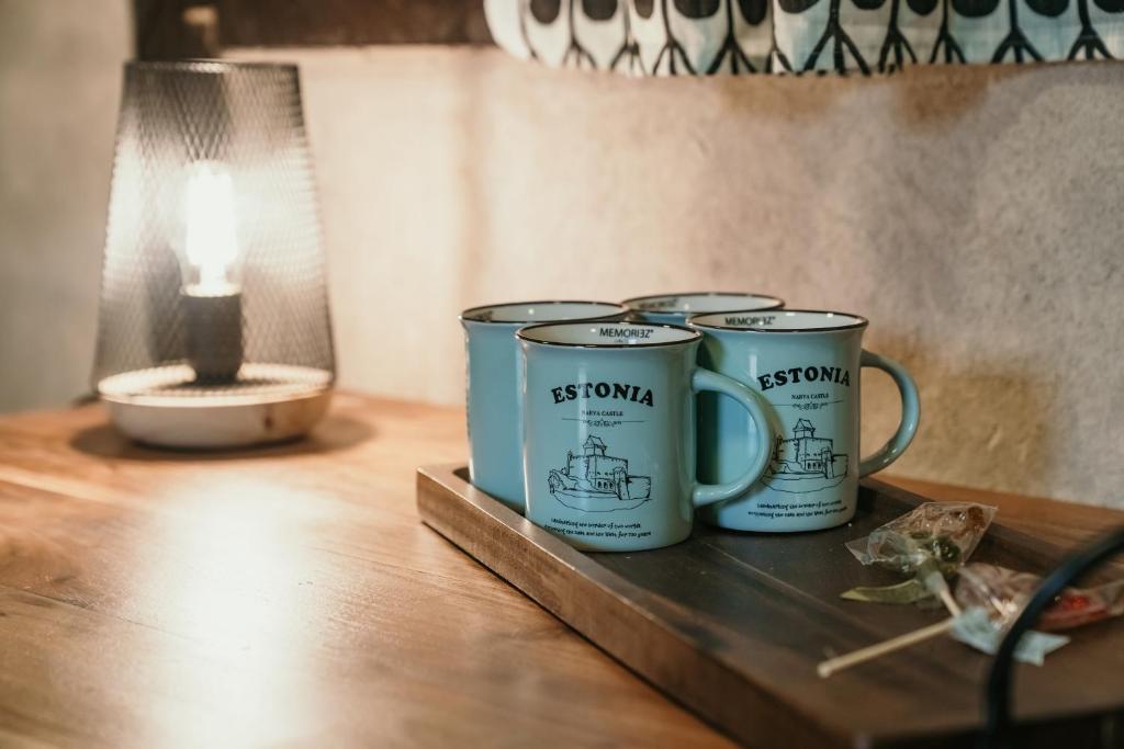 Příslušenství pro přípravu čaje a kávy v ubytování Narva Castle Rooms