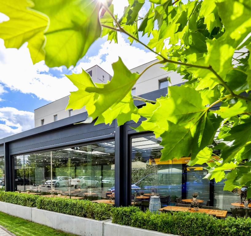 Ilonn Hotel - Resim 42