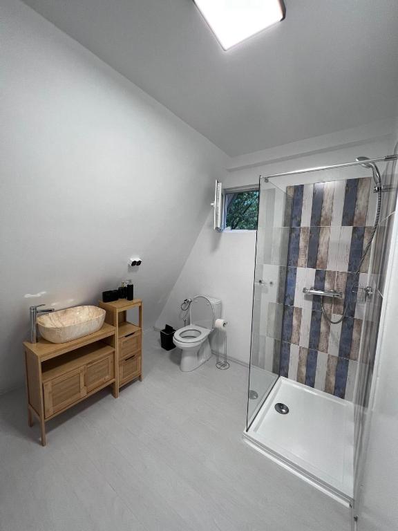Baðherbergi á Cabane A-Frame Svinița