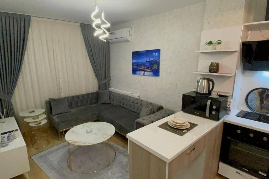 Kuchyň nebo kuchyňský kout v ubytování Classic Suite BH13
