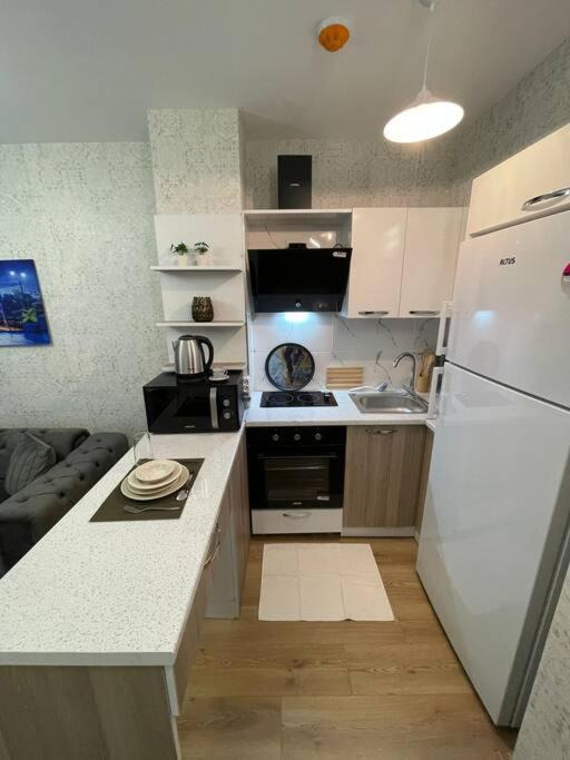 Kuchyň nebo kuchyňský kout v ubytování Classic Suite BH13