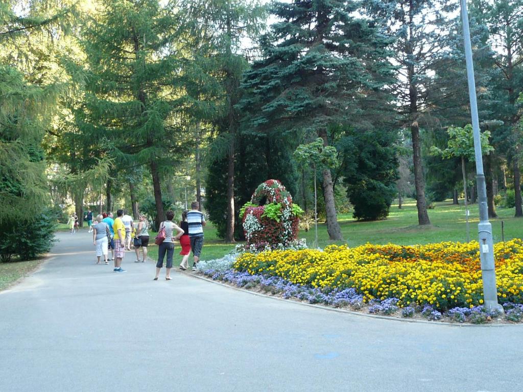 Hostia v ubytovaní Villa Asturia